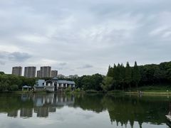 -新洲生态园