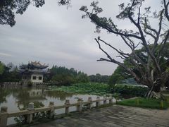-江心屿景区