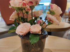 -芸山季·云南野生菌火锅(宝能环球汇店)