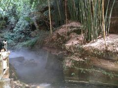 -川西竹海景区