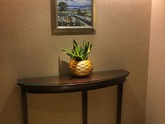 -广州礼顿酒店