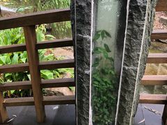 -宁波九龙湖开元度假村