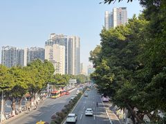 -荔湾湖公园