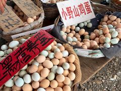 -示范集贸市场
