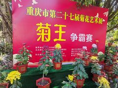 -南山植物园