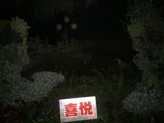 -文瀛公园