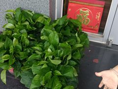 -天津医科大学肿瘤医院(本部院区)