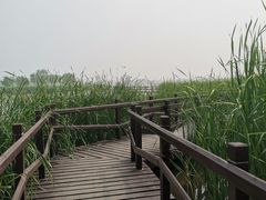 -西青郊野公园