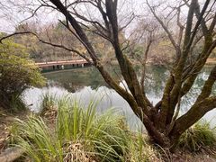 -贵阳市花溪国家城市湿地公园