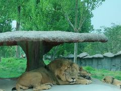 -北京野生动物园