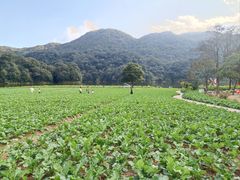 -广州市石门国家森林公园