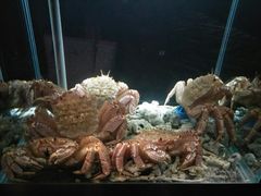 -璞御·海鲜·雪花牛肉局(宾水西道店)