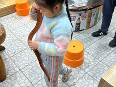 -上海大自然野生昆虫馆(东方明珠·爬宠昆虫探索中心)