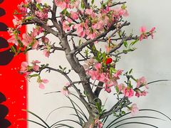 -香山公园