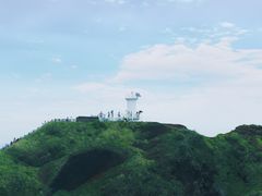 -涉地可支