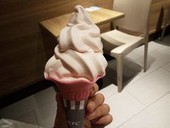 -麦当劳(农光里店)