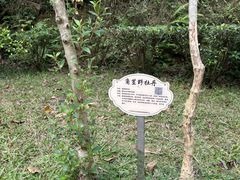 -火炉山森林公园