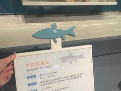 -四川大学博物馆