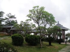 揽胜园-广州国际生物岛山地公园揽胜园