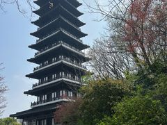 -宜兴龙背山森林公园