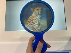 -陕西科学技术馆