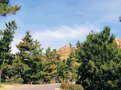 -红山国家森林公园
