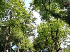 -桂林两江四湖景区