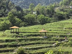 -石台牯牛降景区