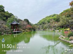 -云溪植物园