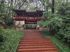 -紫霞湖公园