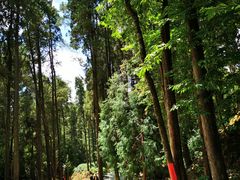 -苍山感通索道