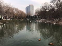 景点-郑州市动物园