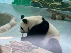 -柳州市动物园