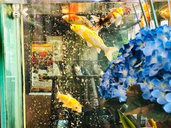 -浩运·海鲜青岛菜·海胆水饺(石老人店)