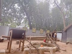 -深圳野生动物园