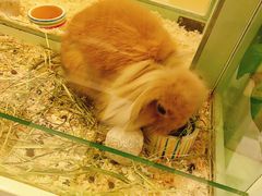 -龙猫仔乐园(惠福东路店)