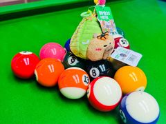-天陆台球俱乐部(望京南湖店)