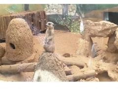 -昆明动物园