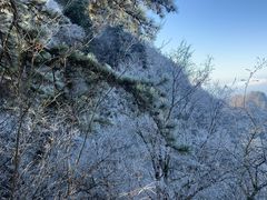 -塔云山