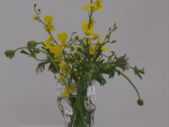 -循礼门鲜花花市(武汉循礼门店)