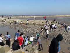 -南汇嘴观海公园