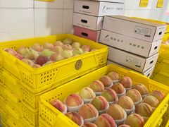 -老袁家蜜桃农场·阳山水蜜桃