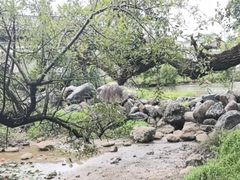 -黑龙潭公园