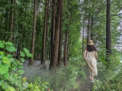 -东湖落雁景区