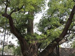 -长春世界雕塑园冰雪艺术天地