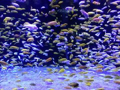 -成都浩海立方海洋公园