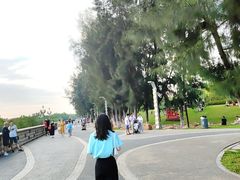 -宝安西湾红树林湿地公园