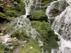 -神农架景区