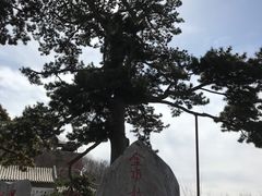 -妙峰山风景名胜区