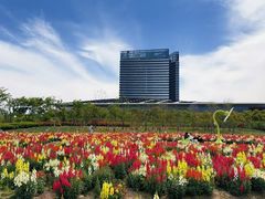 -春花秋色城市公园